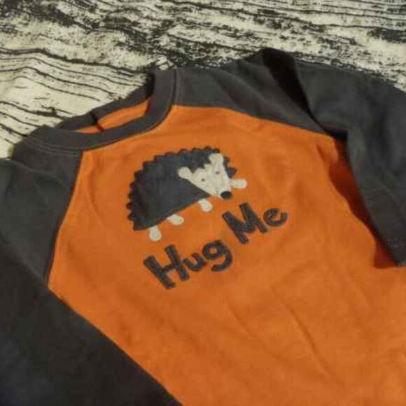 Gymboree Forest Rascals 18-24 Month One Piece Outfit NWT. LOCATED BIN Q - Picture 3 of 3